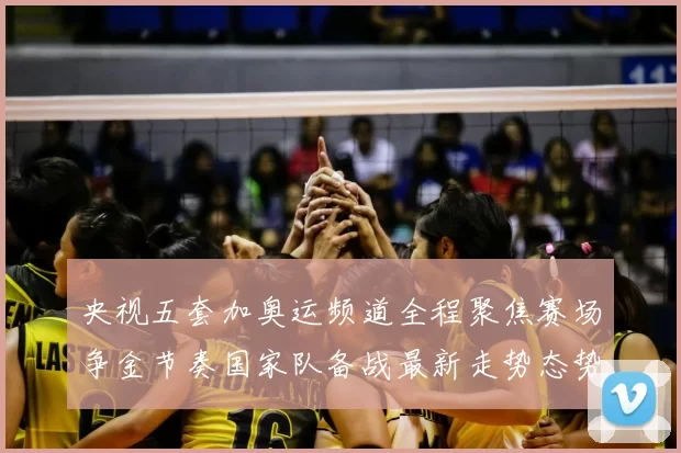 央视五套加奥运频道全程聚焦赛场争金节奏国家队备战最新走势态势