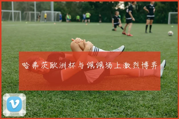 哈弗茨欧洲杯与佩佩场上激烈博弈